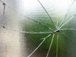 Glass Repair in Ipswich